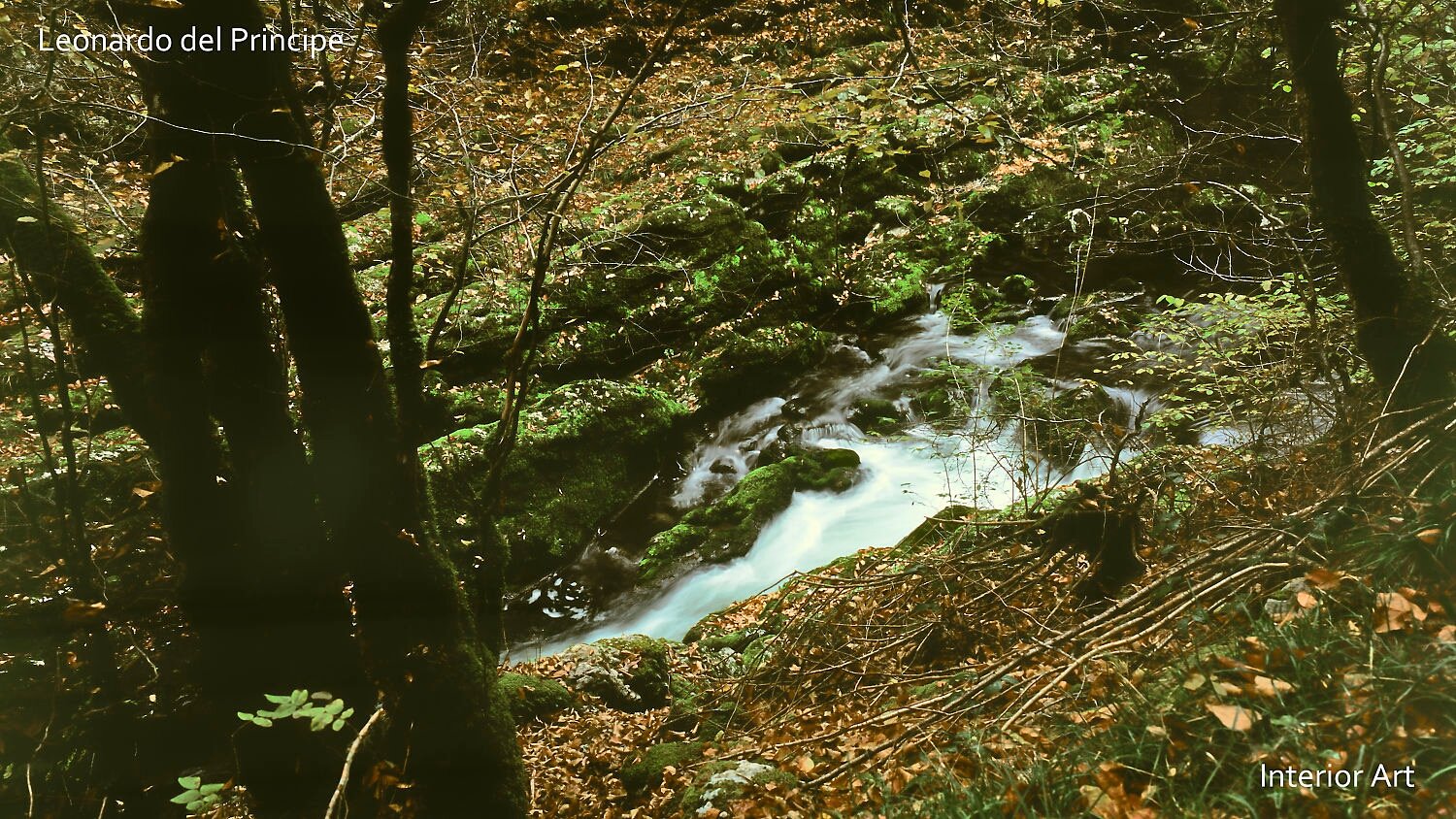 HIRI04 A serene forest scene with a small, cascading stream flowing through moss-covered rocks. Sunlight filters through bare trees, creating a tranquil, earthy...