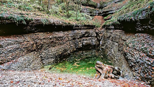 The Vouivre Hideout ''La Vouivre'' is an ancient tale from the French Jura Mountains about a princess transformed into a winged serpent. At...