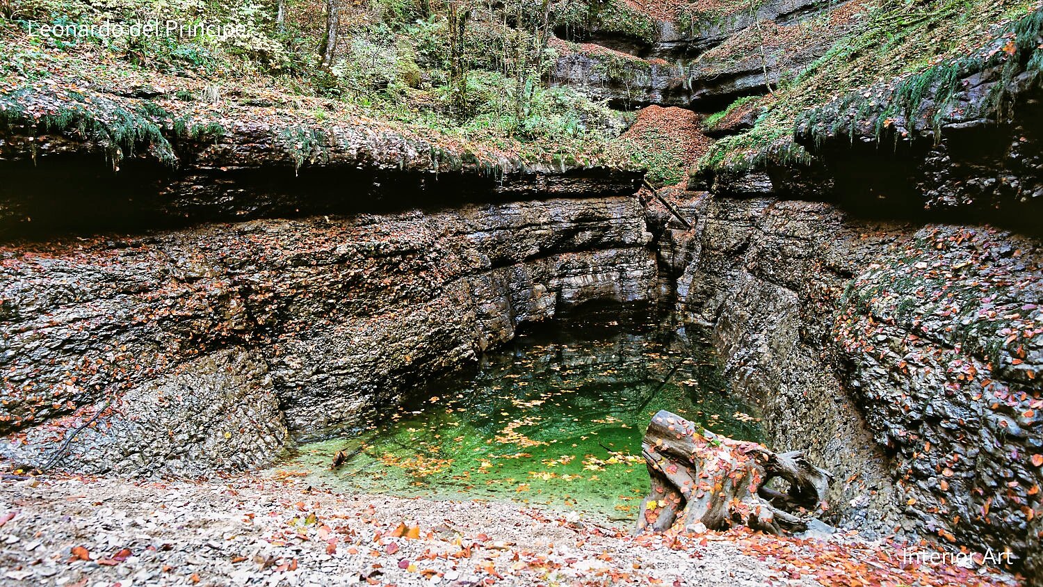 VOHI01 Serene, rocky gorge with stratified layers surrounding a clear, green river source. Fallen autumn leaves scatter across the water, adding a tranquil touch.