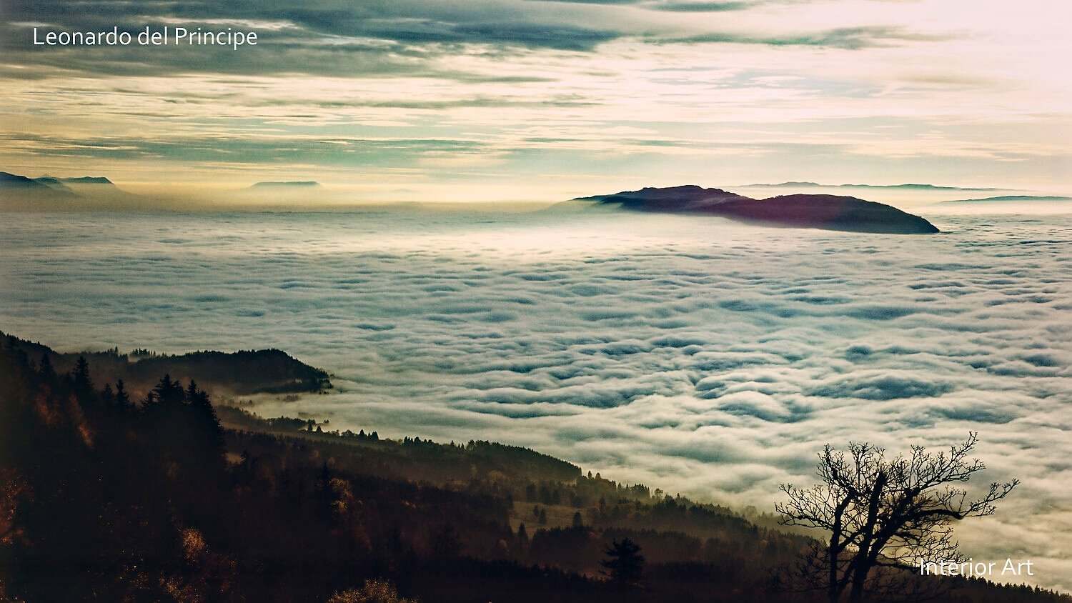 SDLK03 Tranquil landscape of a mist-covered valley with rolling clouds, silhouetted hills, and distant mountains. Foreground features silhouetted trees.