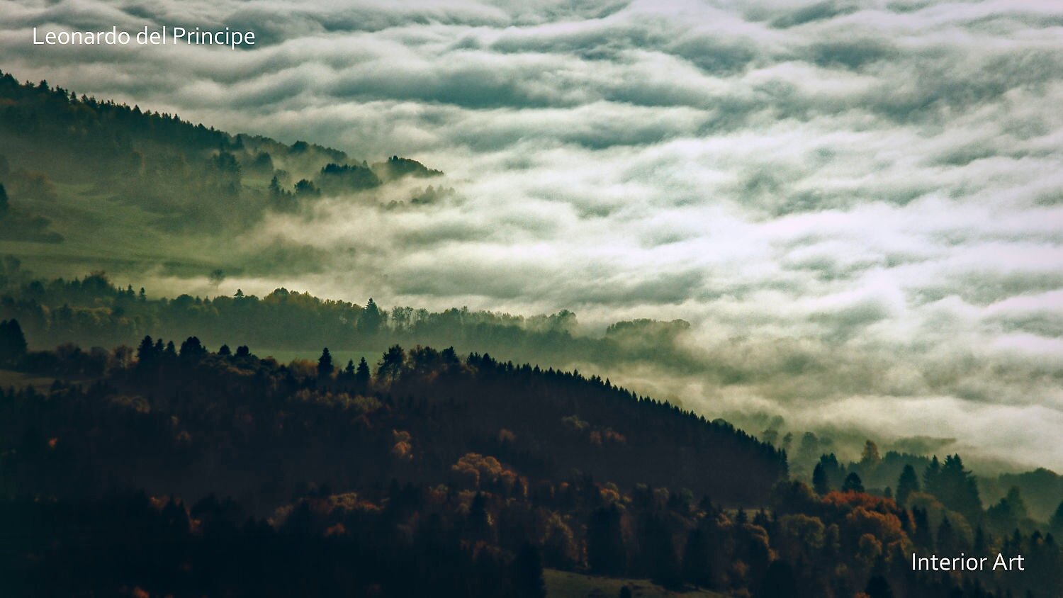 SDLK04 Mist rolls over a lush, forested landscape at dawn. Layers of fog create a serene and mysterious atmosphere, blending with distant hills.
