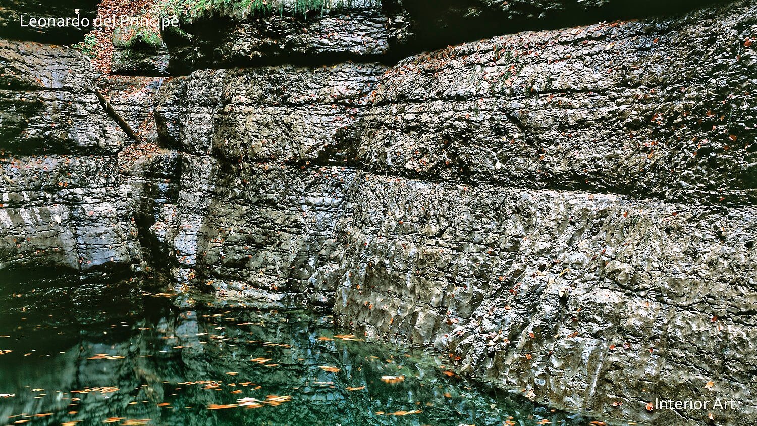 VOHI04 Rocky canyon walls with layers of dark gray stone, scattered red leaves, and a fallen branch. Autumn foliage adds a touch of color; serene and natural ambiance.