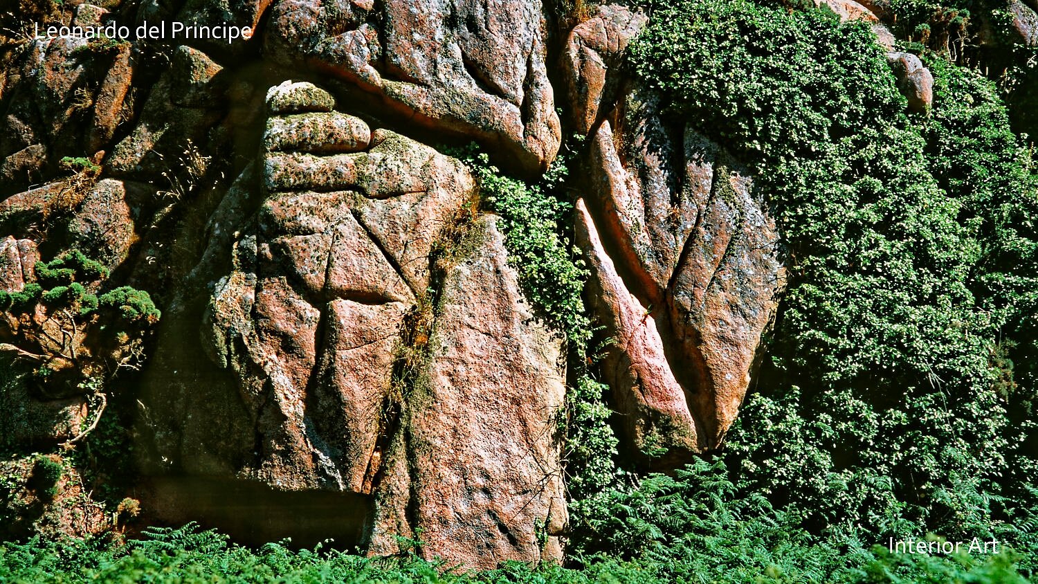 GOGR02 Granite Rock blends with lush green vines and foliage, creating a natural, harmonious landscape. The scene conveys monumentality and timeless beauty.