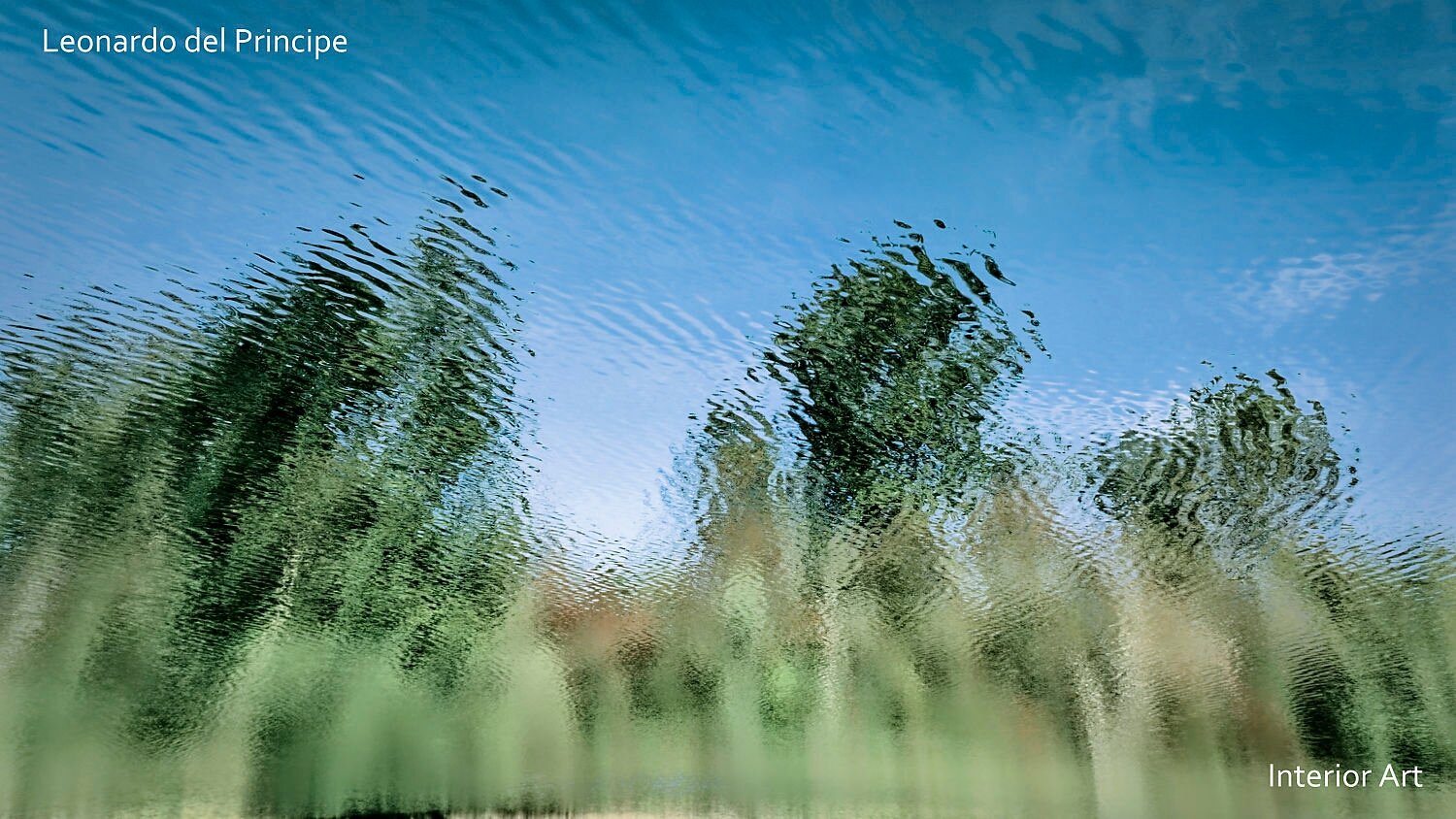 IMRE03 Reflection of trees and sky in rippling water, creating an abstract, impressionist effect. The scene conveys tranquility and serenity