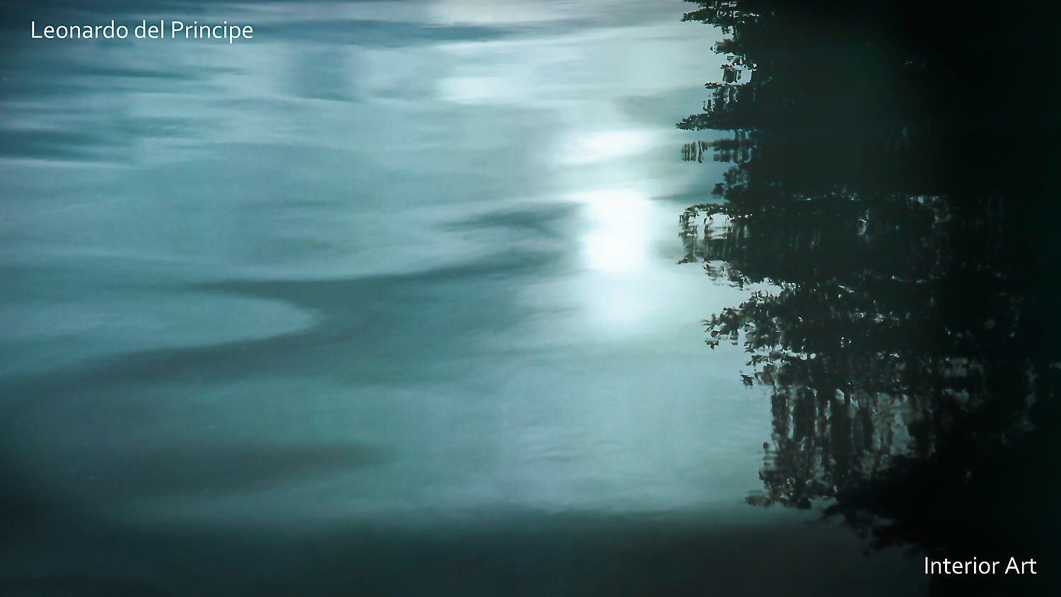 IMRE05 Film photography of a reflection of a tree on calm, blue-tinted water with soft ripples; a serene and tranquil mood is conveyed.