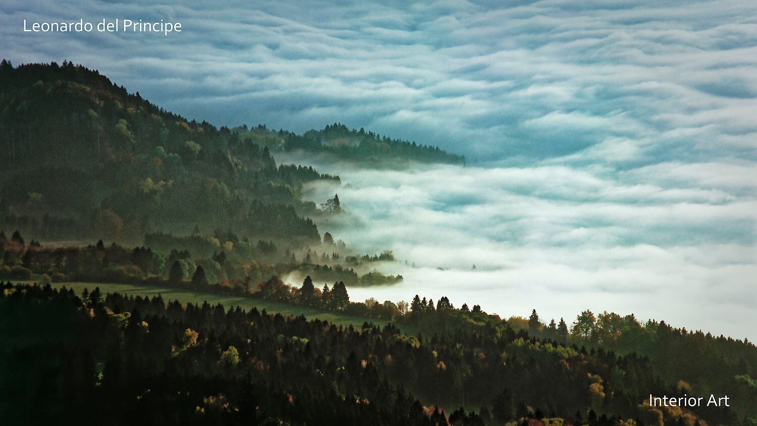 SDLK02 Fog blankets a lush, forested hillside, creating a serene and mystical landscape. The sky is overcast, enhancing the tranquil, ethereal mood.