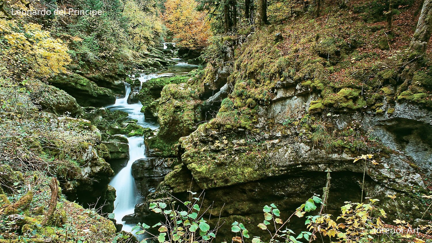 SINK05 A serene forest scene with a waterfall cascading over mossy rocks surrounded by lush, green foliage and autumn-colored trees, creating a tranquil atmosphere.