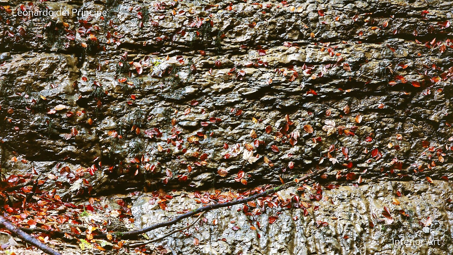 VOHI02 Rough stone wall covered with scattered red leaves. The textured surface and fallen leaves evoke an autumnal, rustic atmosphere.