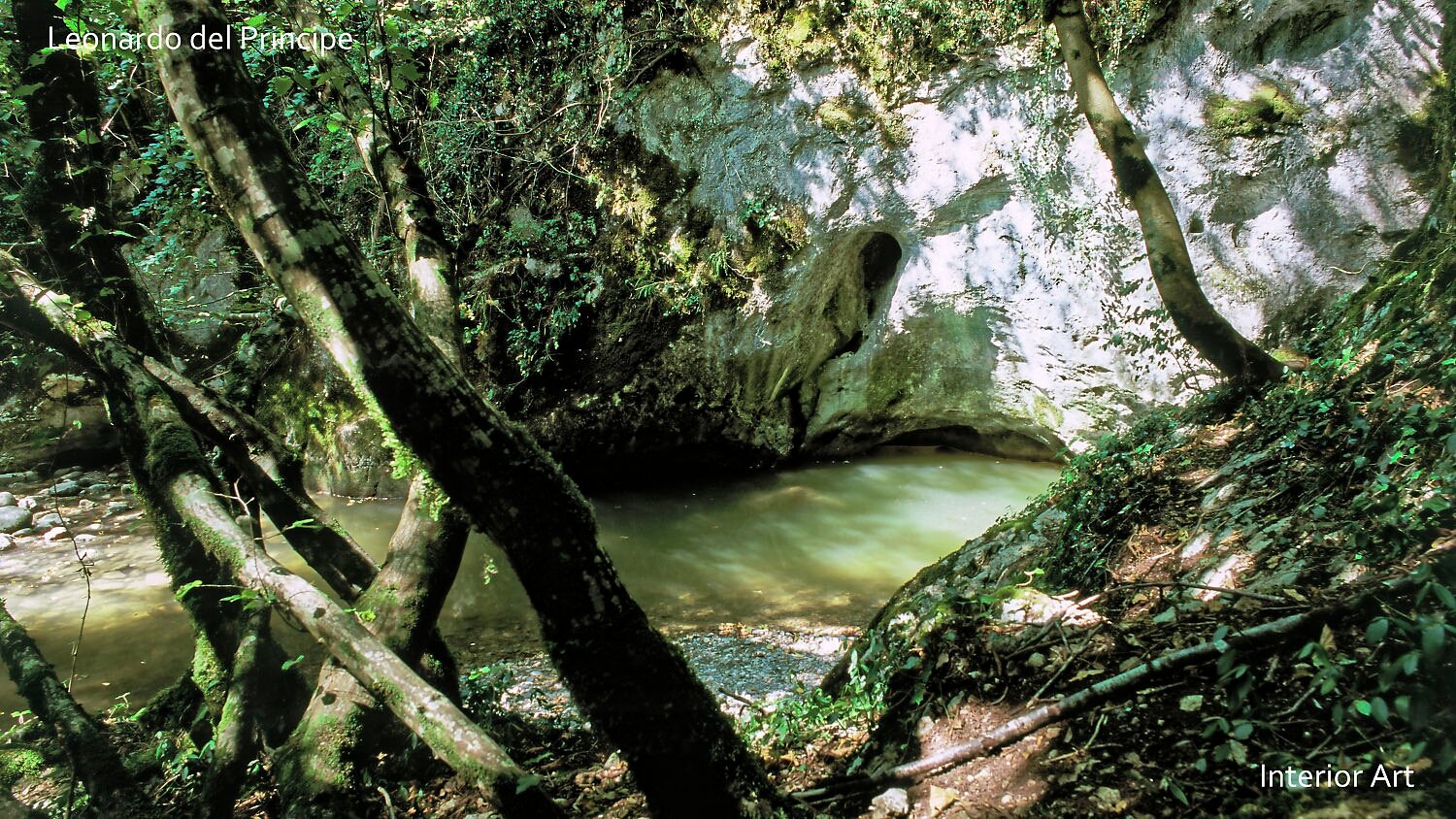 RIMOa05 A serene forest scene with sunlight filtering through trees, casting shadows on a calm stream and mossy rocks. The atmosphere is peaceful and natural.