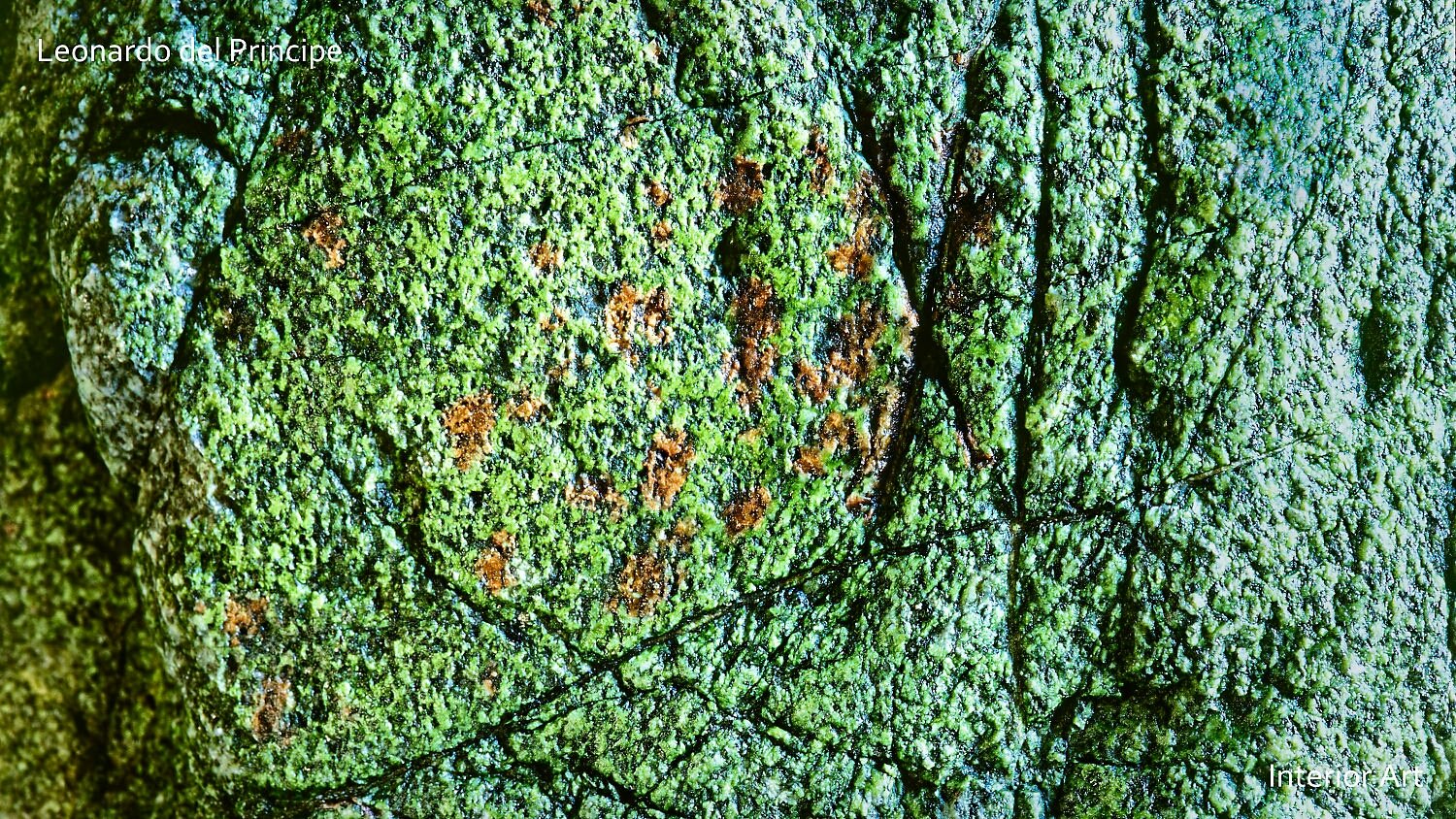 EGRT03 Close-up of a cave wall covered in vibrant green moss and patches of orange lichen. The texture is rough and detailed, evoking a natural, earthy feel.