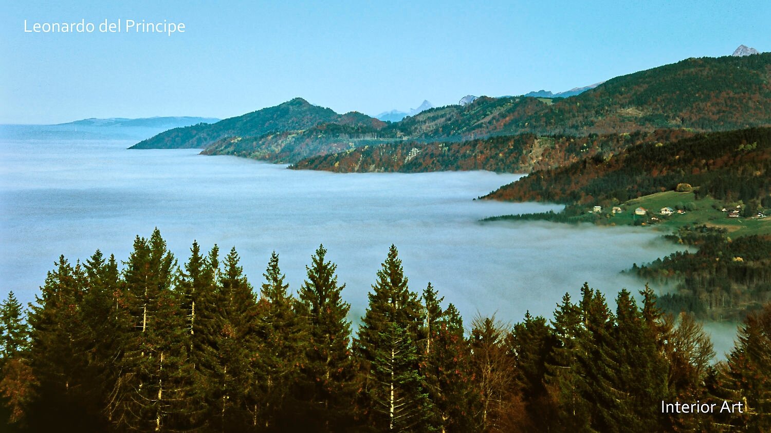 SDLK05 A serene landscape shows a dense forest in the foreground with evergreen trees. In the distance, fog blankets a valley, surrounded by mountains under a clear...