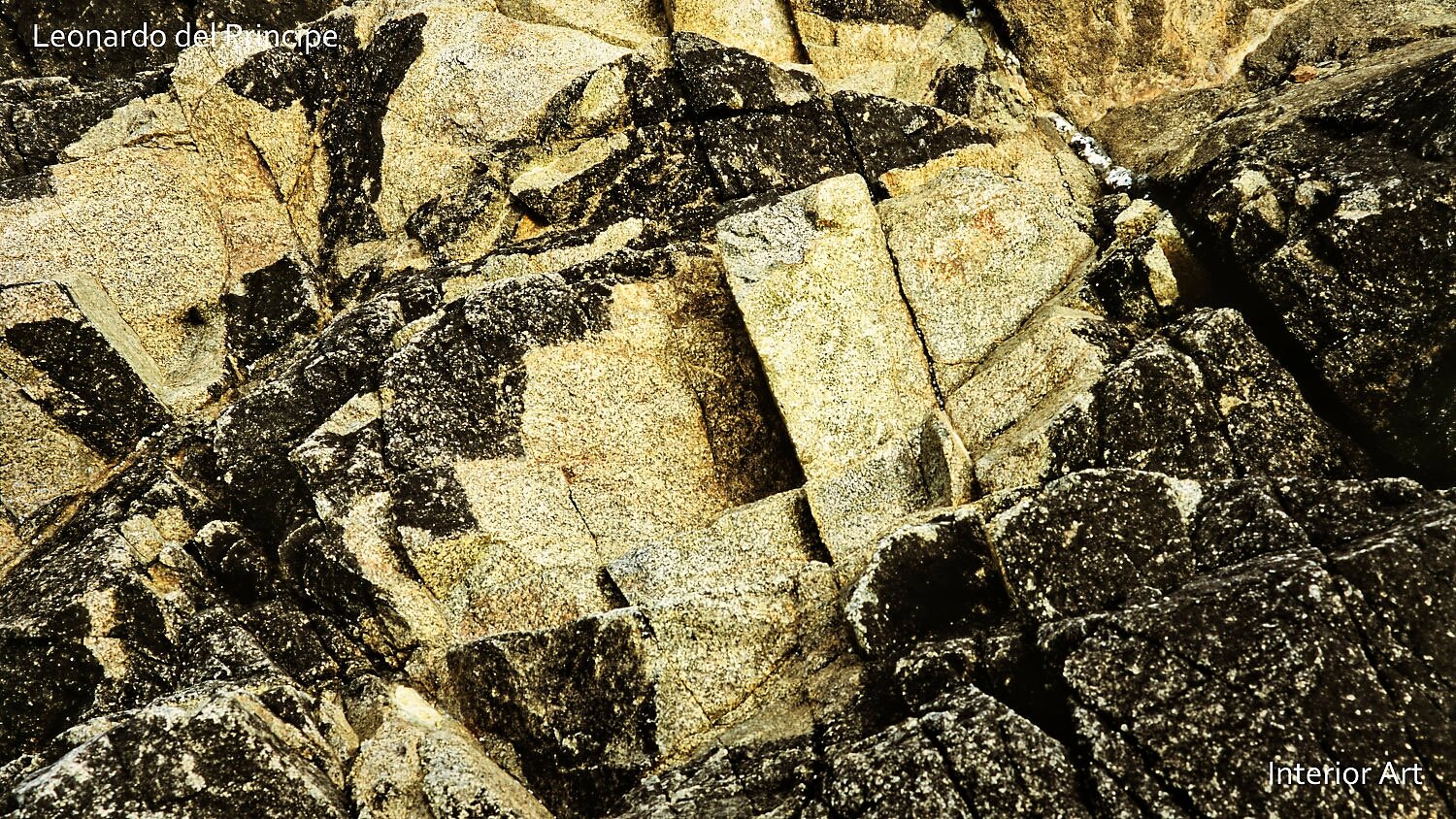 SMPC02 Close-up of textured, weathered rocks with shades of beige and dark gray. The surface is rugged, conveying a sense of natural, raw beauty.
