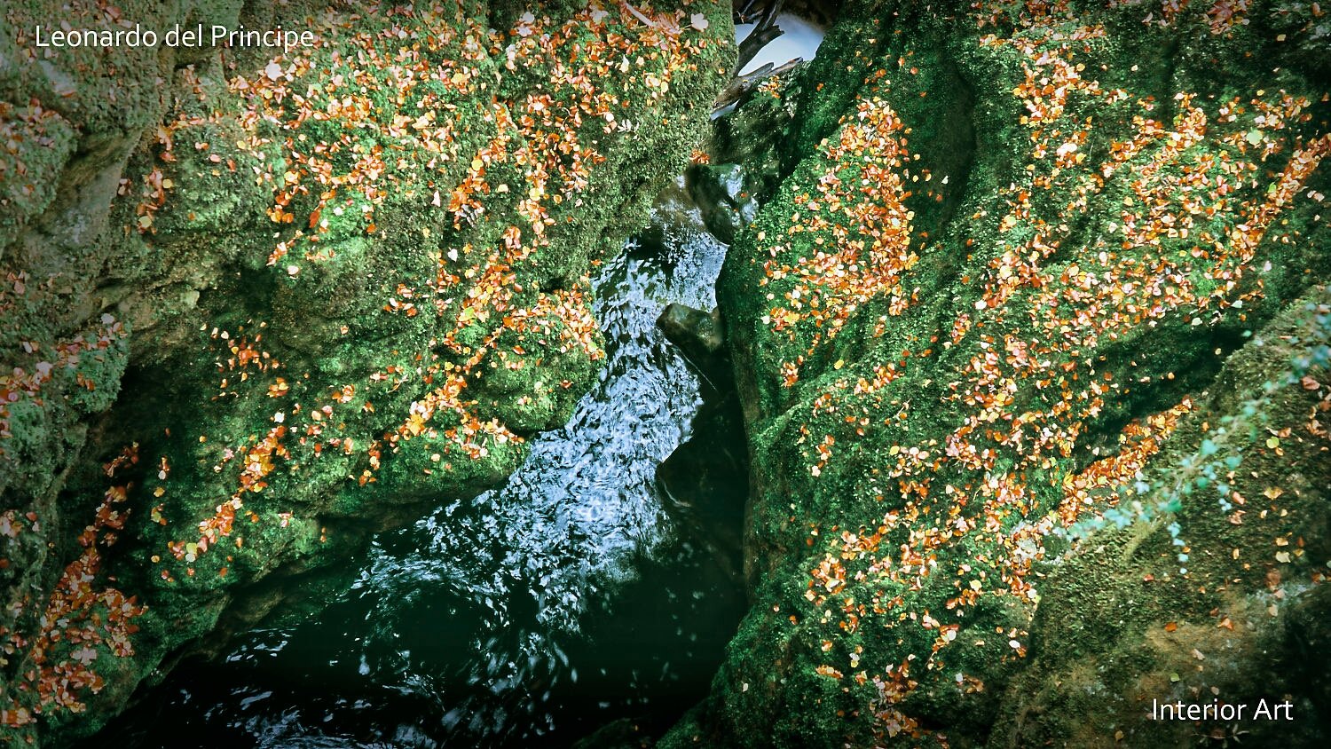 SINK02 Aerial view of moss-covered rocks with scattered orange leaves, framing a narrow flowing stream. The scene feels calm and natural.