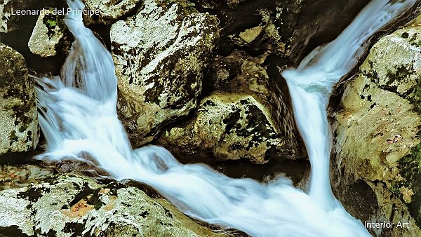 The Sinking River Contemplating the Ain River as it converges into a sinking river in Jura Mountains, I witnessed a serene interaction...