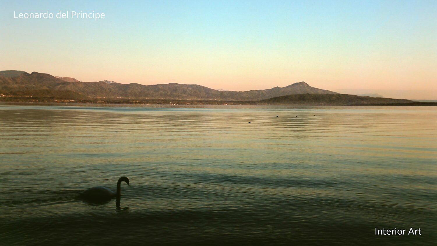 WFNF05 A lone swan glides across calm Geneva lake at sunset, with distant mountains under a soft pink and blue sky, creating a peaceful and serene scene